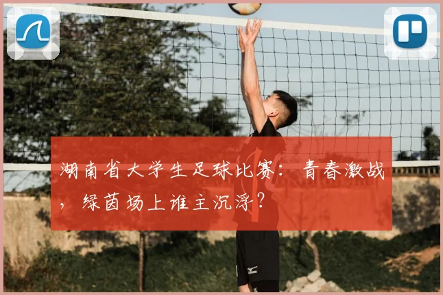 湖南省大学生足球比赛：青春激战，绿茵场上谁主沉浮？