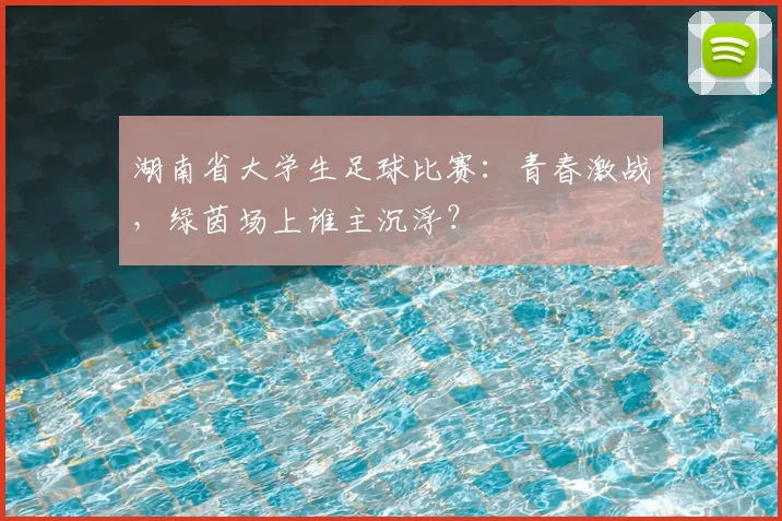 湖南省大学生足球比赛：青春激战，绿茵场上谁主沉浮？