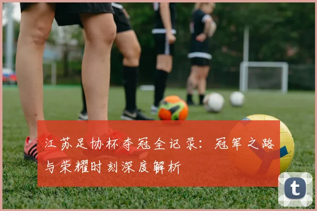 江苏足协杯夺冠全记录：冠军之路与荣耀时刻深度解析